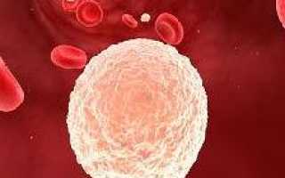 Увеличены лейкоциты в крови что это значит