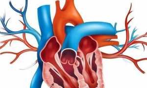 Увеличение правого желудочка сердца у ребенка