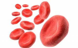 Уровень гемоглобина в крови норма по возрастам
