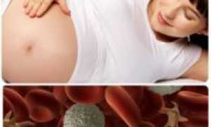 Тромбоциты у беременных норма в 3 триместре