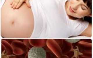 Тромбоциты у беременных норма в 3 триместре