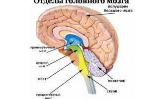 Удаление гематомы головного мозга последствия
