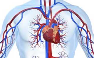 Взаимосвязь пульса и артериального давления